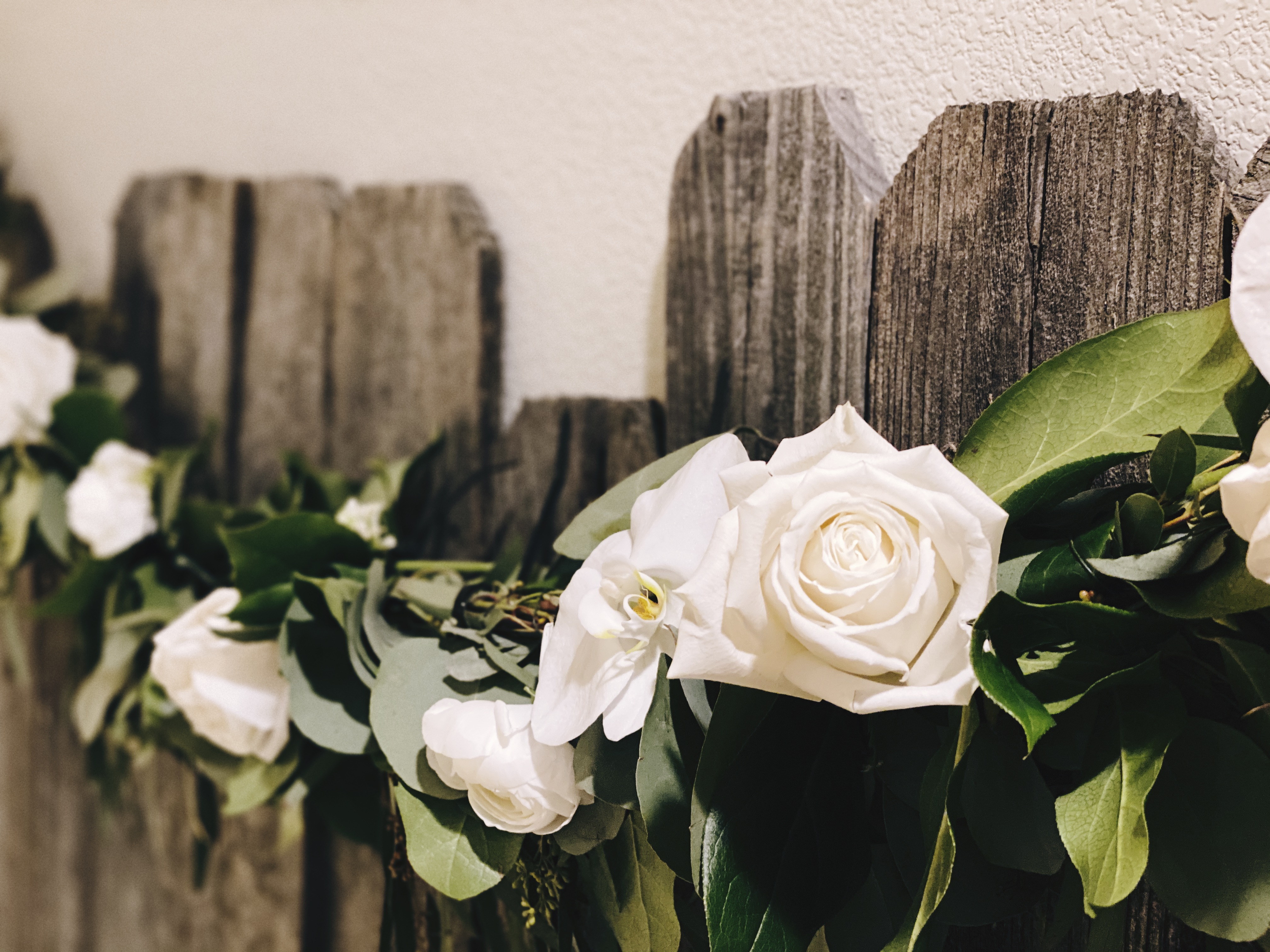 D6EBDC57-BE35-45AE-915D-EBBBCA1F9534-1